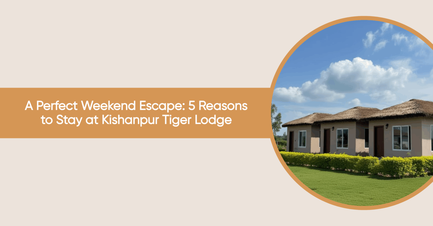 kishanpur tiger lodge near pilibhit tiger reserve