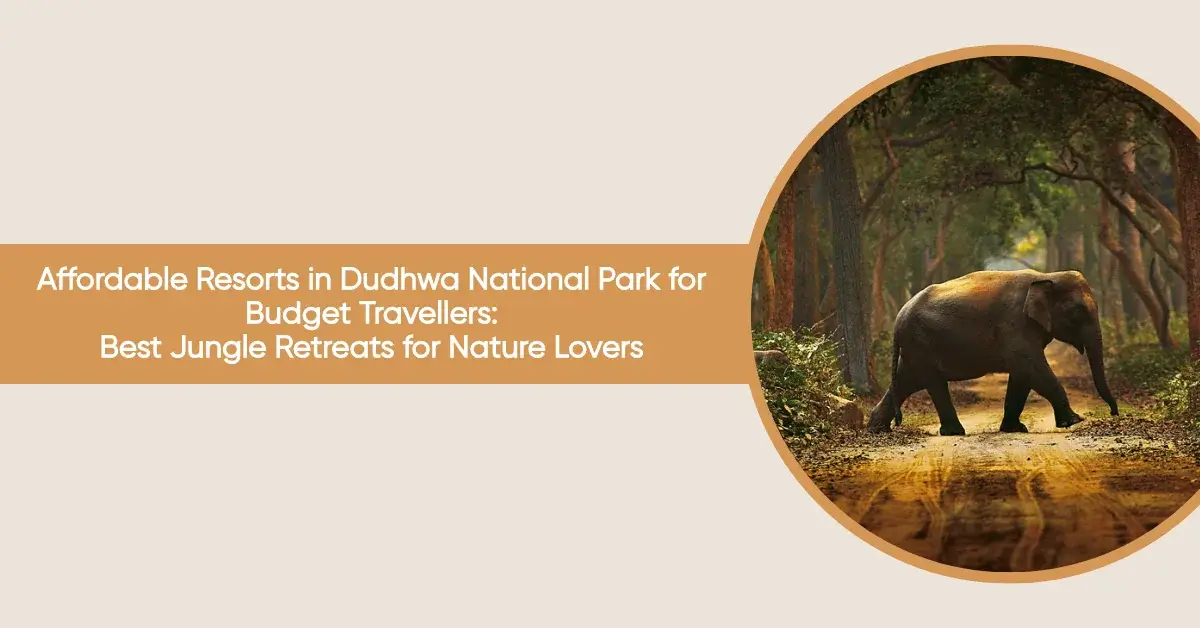 affordable resorts in dudhwa national park