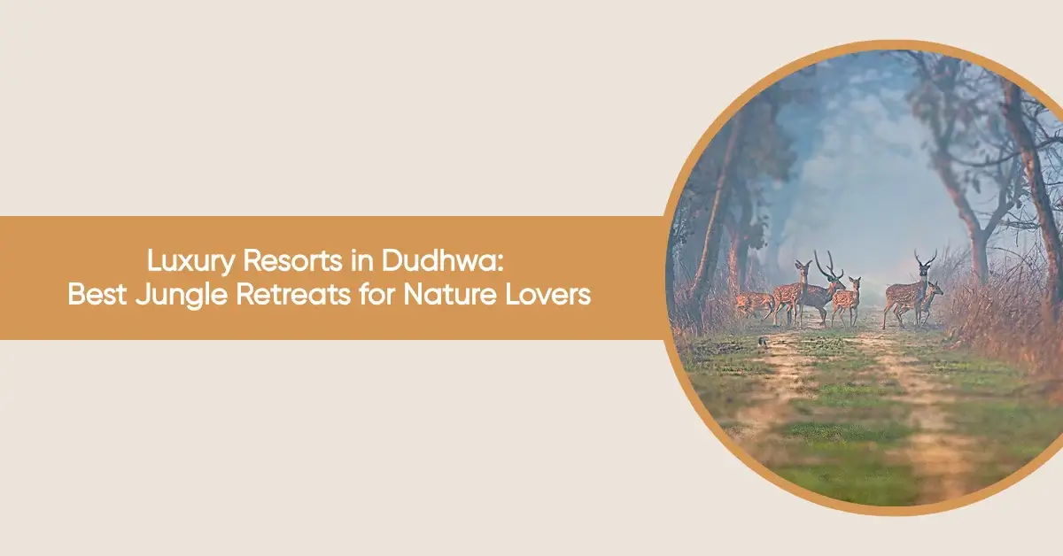 luxury resorts in dudhwa