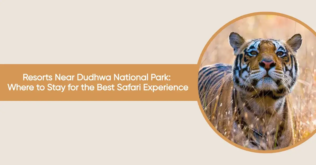 resort near dudhwa national park
