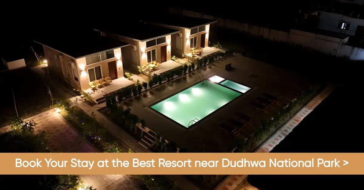 resorts near dudhwa