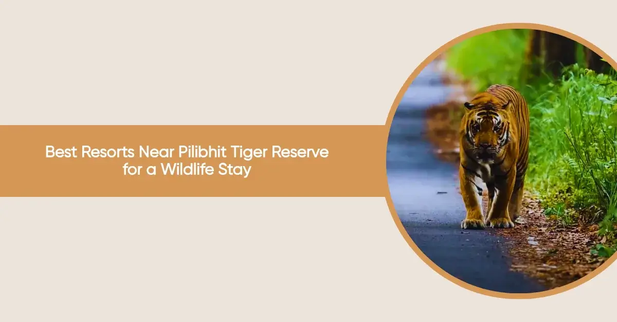 resorts near pilibhit tiger reserve