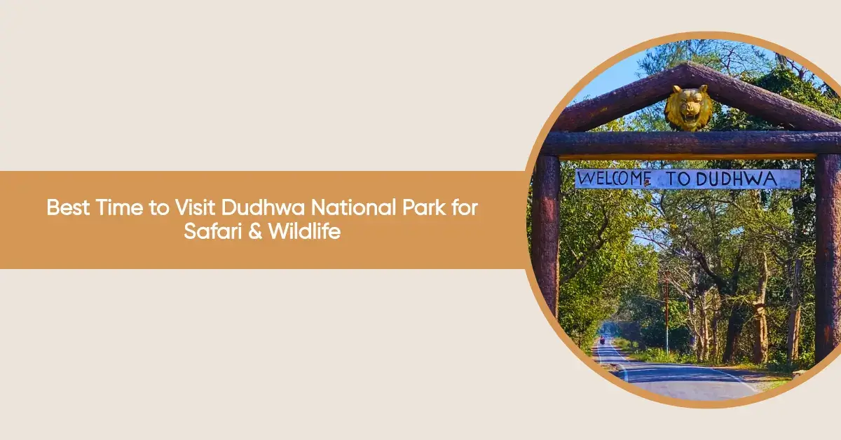 best time to visit dudhwa national park