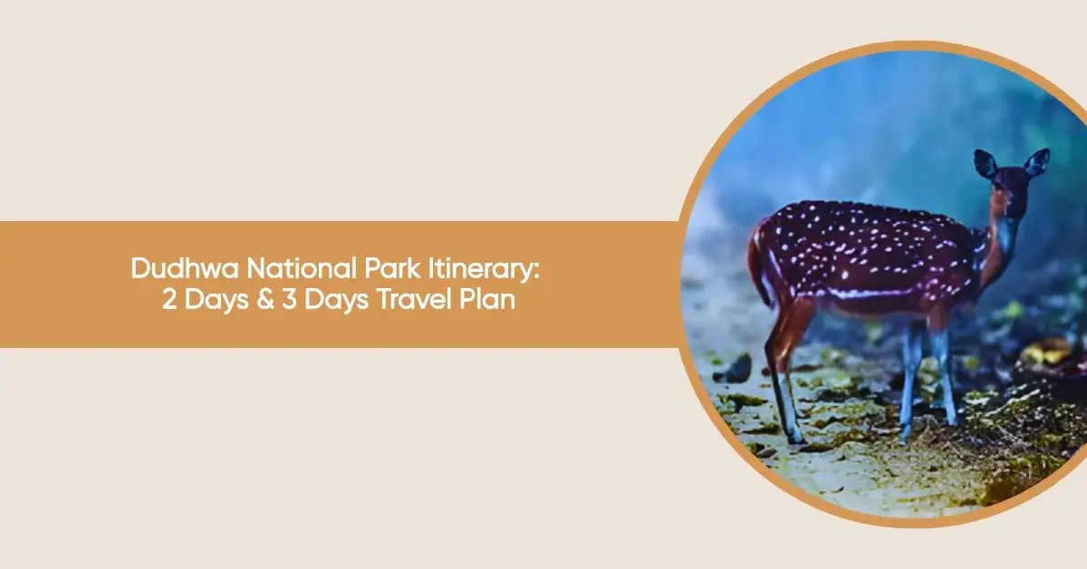 dudhwa national park itinerary