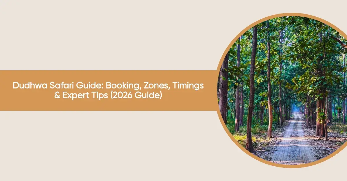 dudhwa safari guide