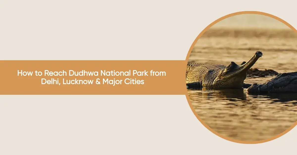 how to reach dudhwa national park