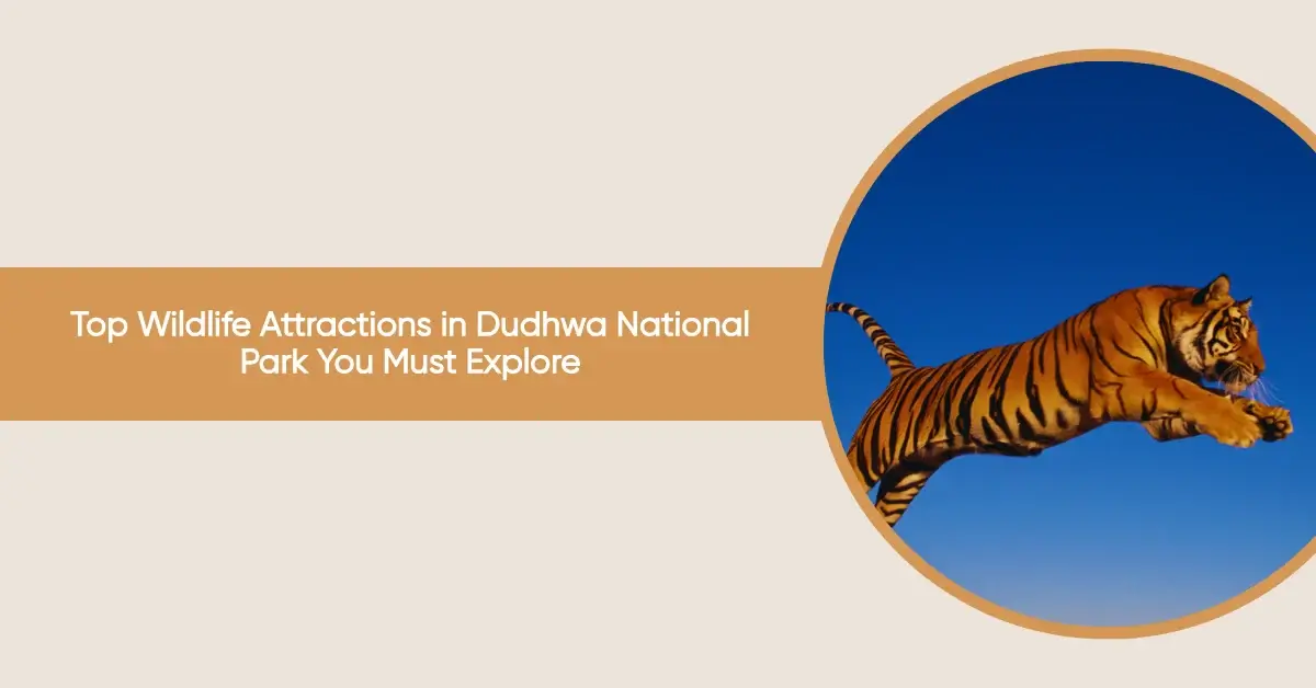 top wildlife attractions in dudhwa national park