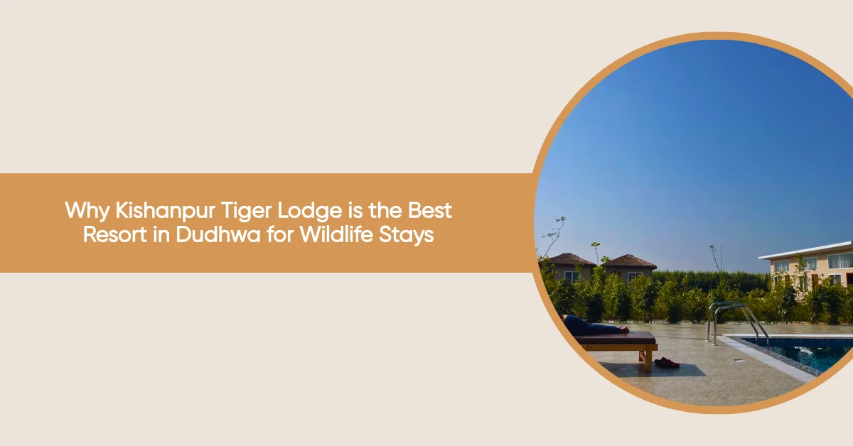 best resort in dudhwa