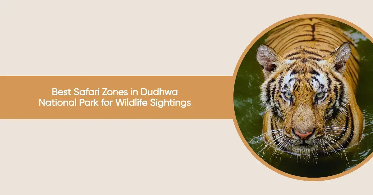 best safari zones in dudhwa national park