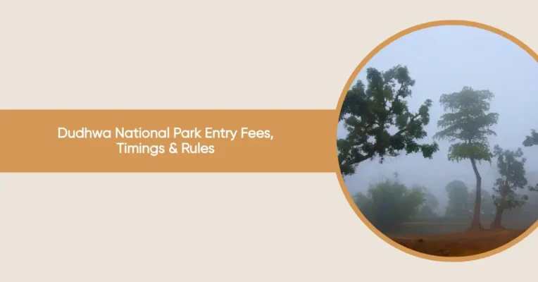 dudhwa national park entry fees